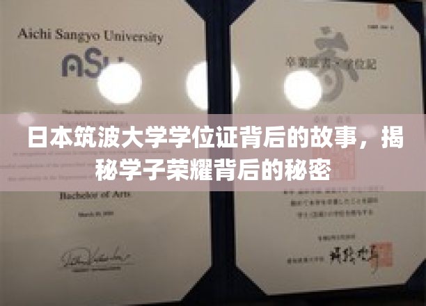筑波大学学位证背后的传奇，揭秘学子荣耀的神秘面纱