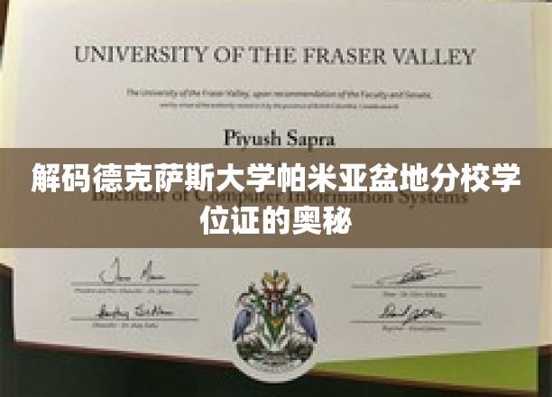 揭秘德克萨斯大学帕米亚盆地分校学位证的独特印记