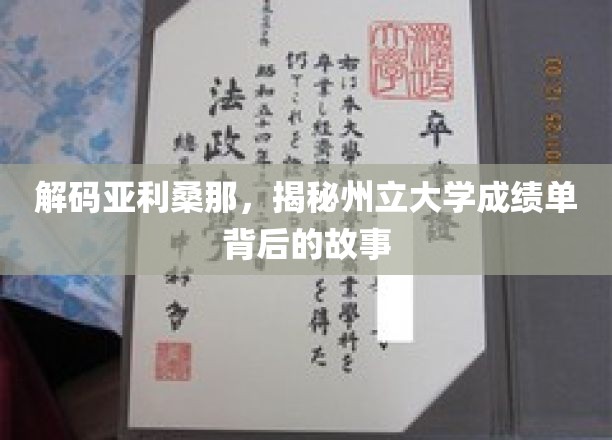 探寻亚利桑那州立大学成绩单背后的神秘面纱