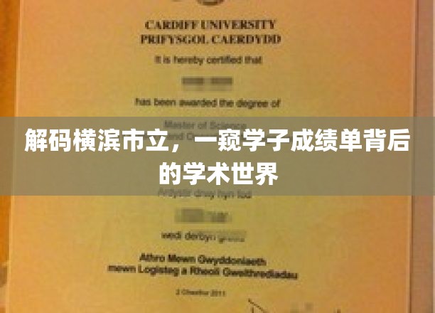 横滨市立揭秘，学子成绩单背后的学术奥秘