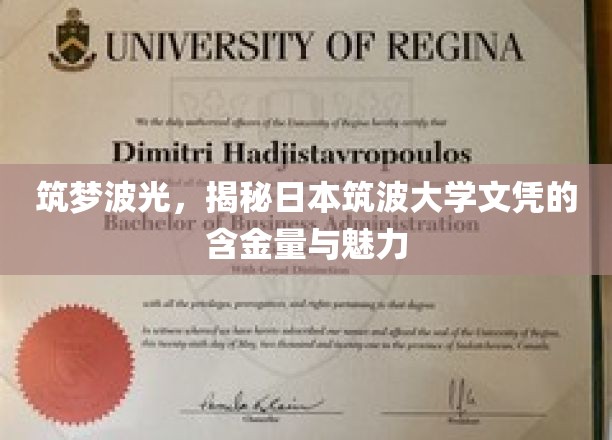 解码筑波之光，探索日本顶级大学的文凭魅力与价值