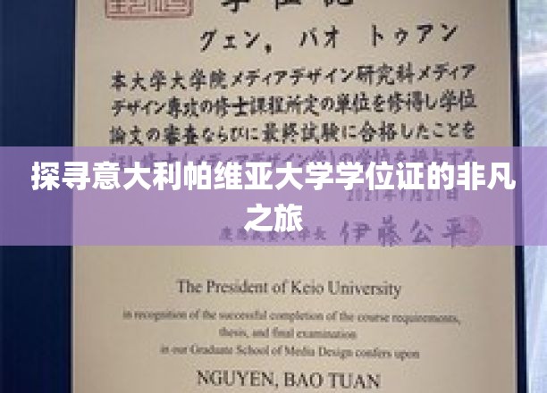 穿越时空，揭秘帕维亚大学学位证的传奇之旅