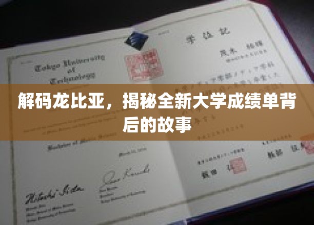 解码未来教育，龙比亚成绩单革新背后的秘密面纱