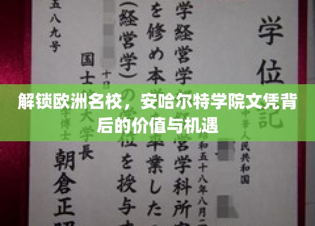 解锁欧洲名校，安哈尔特学院文凭背后的价值与机遇