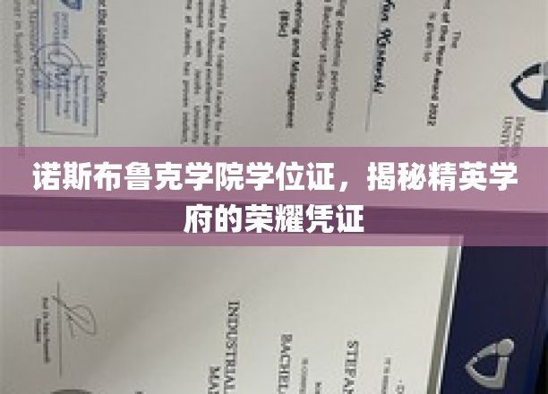精英学府荣耀通行证，揭秘诺斯布鲁克学院学位证的非凡价值