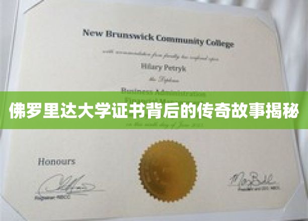 解码佛罗里达大学证书，一段不为人知的传奇历程