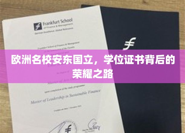 探寻安东国立，欧洲名校学位证书背后的辉煌历程