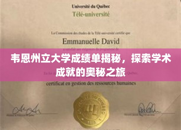 韦恩州立大学成绩单背后的学术传奇揭秘之旅