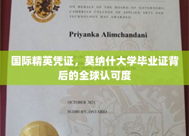 全球通行证，莫纳什大学证书背后的国际认可魅力