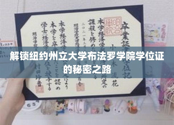 探寻布法罗学院学位证背后的独特旅程
