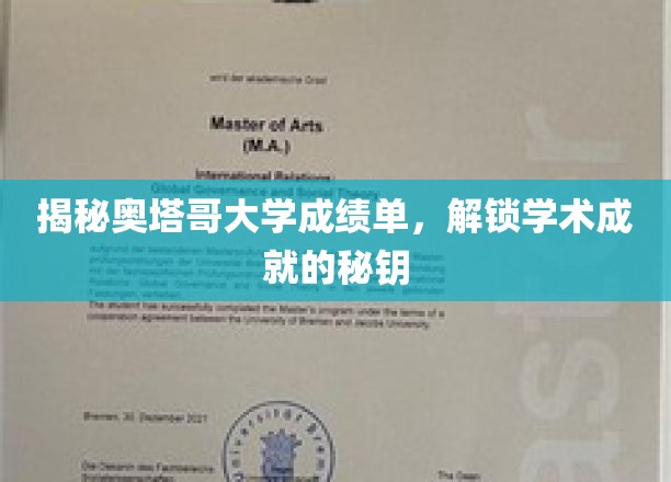 奥塔哥大学成绩单揭秘，解锁学术成就的钥匙