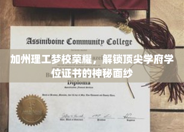加州理工梦校荣耀，揭开顶尖学府学位证书的神秘面纱