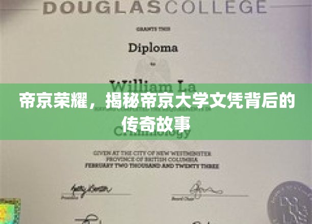 帝京大学文凭秘闻，探寻成就非凡的传奇历程