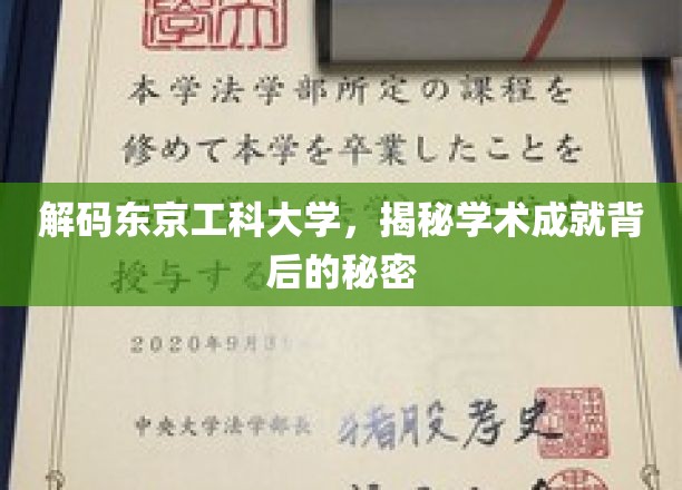 解码东京工科大学，揭秘学术成就背后的秘密