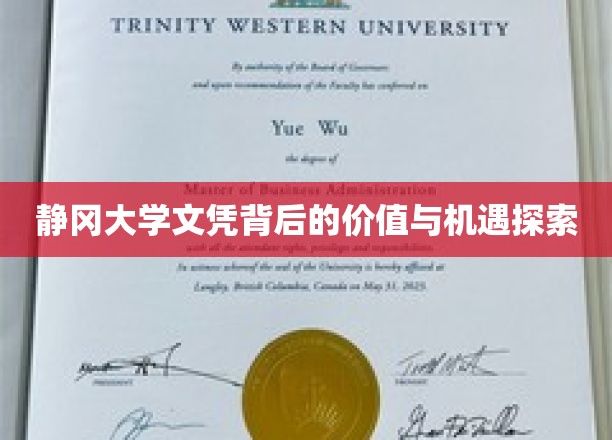 静冈大学文凭背后的价值与机遇探索
