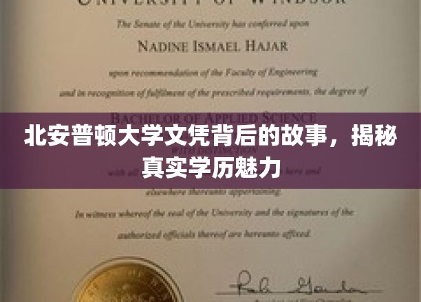探寻北安普顿大学文凭背后的秘密，揭秘学历的真正魅力