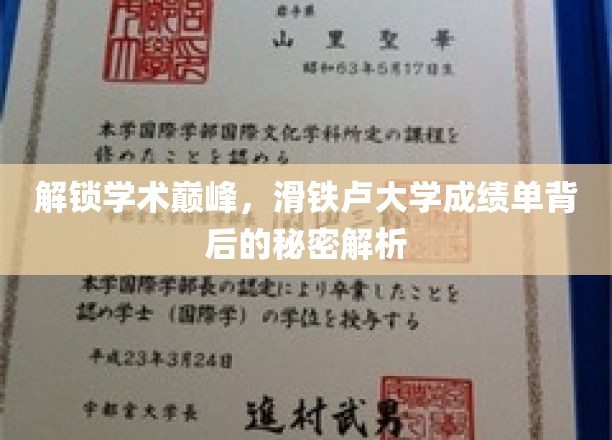 揭秘滑铁卢大学学霸养成记，揭秘学术巅峰背后的秘密