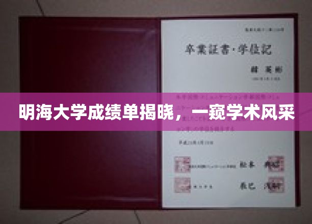 明海大学成绩单亮相，揭秘学子学术实力