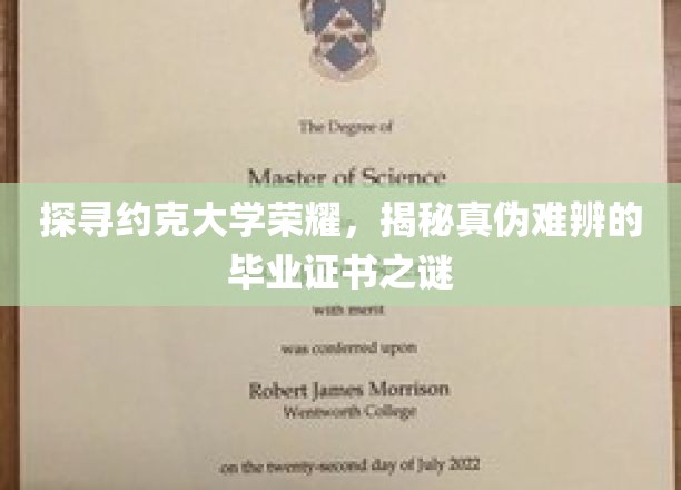 探寻约克大学荣耀，揭秘真伪难辨的毕业证书之谜