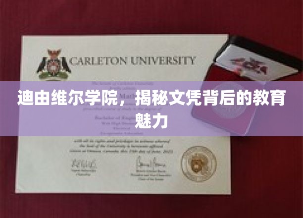 探索迪由维尔学院的文凭奥秘，揭开教育魅力的神秘面纱