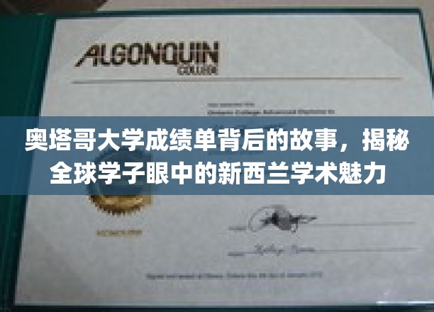 奥塔哥大学成绩单背后的故事，揭秘新西兰学术魅力的魅力所在