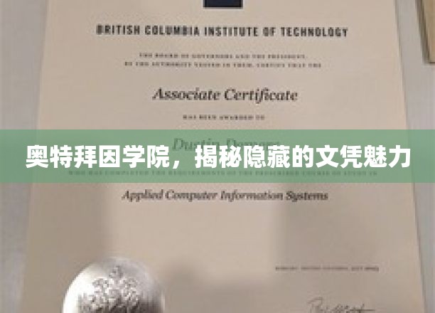 奥特拜因学院，揭秘隐藏的文凭魅力