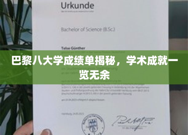 巴黎八大学成绩单揭秘，学术成就一览无余