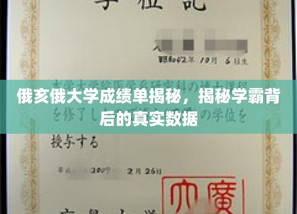 解码俄亥俄大学学霸成绩单，揭秘学术巅峰背后的真实数据