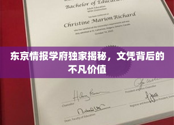 解码东京情报学府，文凭背后的神秘魅力