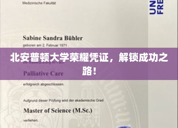 北安普顿大学荣誉证书，开启成功之门！