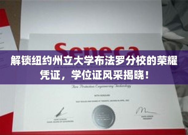 解锁纽约州立大学布法罗分校的荣耀凭证，学位证风采揭晓！