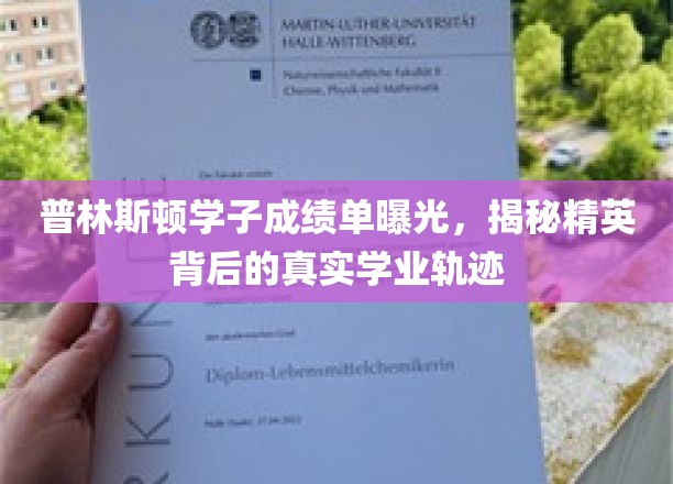 普林斯顿精英面纱，揭秘学霸们的真实学业路径