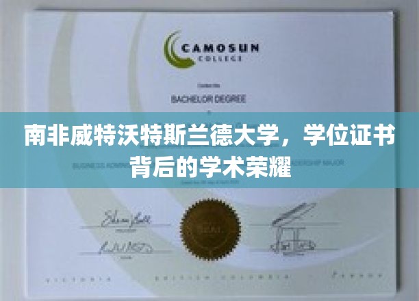 探寻南非威特沃特斯兰德大学学位证书背后的学术璀璨之光
