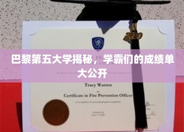 巴黎第五大学揭秘：学霸们的成绩单大公开
