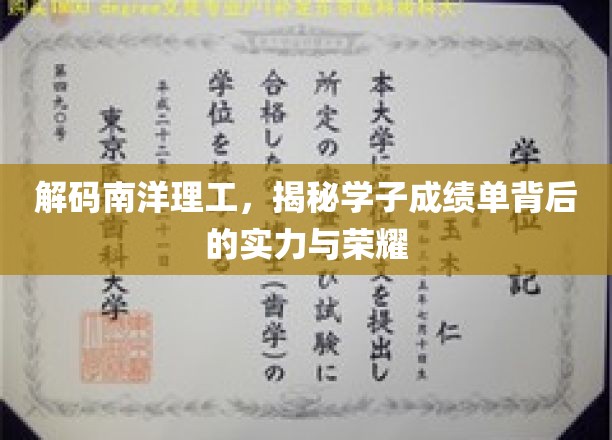 南洋理工学霸养成记，揭秘成绩单背后的辉煌历程