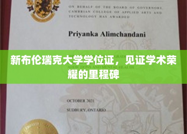 新布伦瑞克大学学位证，见证学术荣耀的里程碑