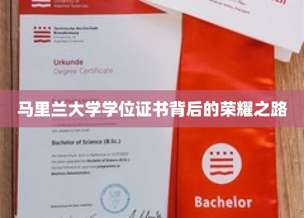 马里兰大学荣耀证书，探寻学位背后的辉煌历程