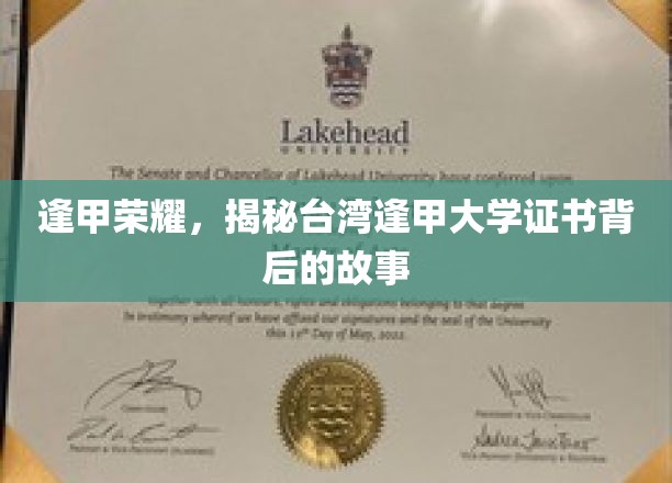 台湾逢甲大学荣耀揭秘，证书背后的传奇历程