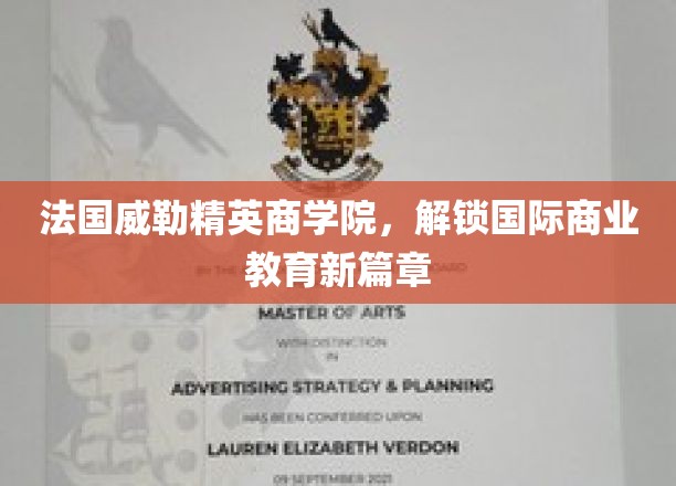 法国威勒精英商学院，开启国际商业教育新篇章