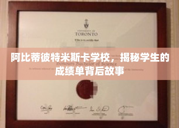 解码阿比蒂彼特米斯卡学校，成绩单背后的青春轨迹