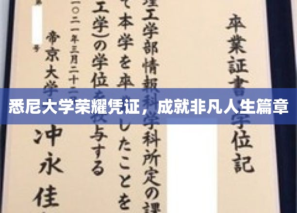 悉尼大学荣耀凭证，成就非凡人生篇章
