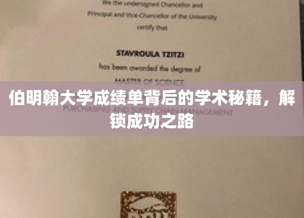 解码伯明翰大学卓越成绩单，揭秘学术精英的成长秘笈