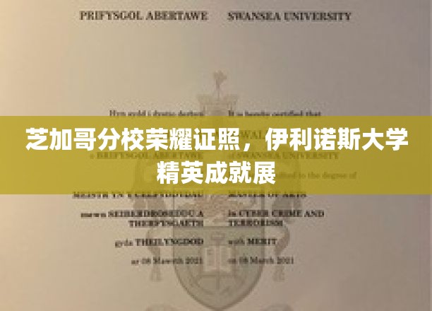 伊利诺斯大学芝加哥分校，学子荣耀，精英成就璀璨展翅