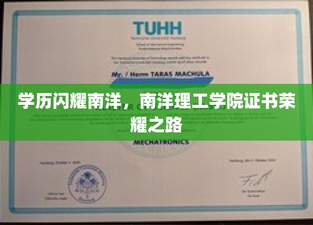 学历闪耀南洋，南洋理工学院证书荣耀之路