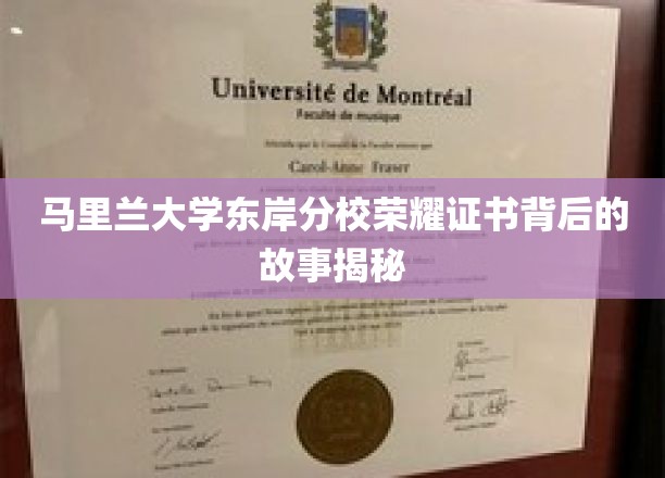 解码马里兰大学东岸分校荣耀证书，一段不为人知的传奇历程