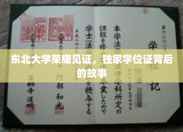 东北大学荣耀见证，独家学位证背后的故事
