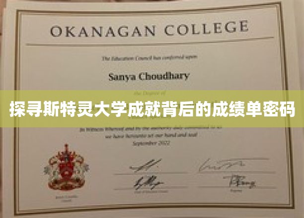 解码斯特灵大学辉煌成就的神秘学考