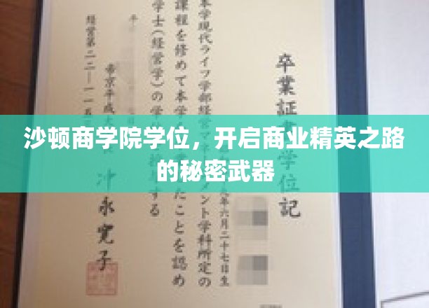 商业精英的秘籍，沙顿商学院学位，助你一跃成为商业领袖！