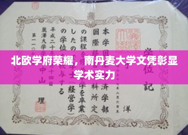 北欧学府荣耀，南丹麦大学文凭彰显学术实力