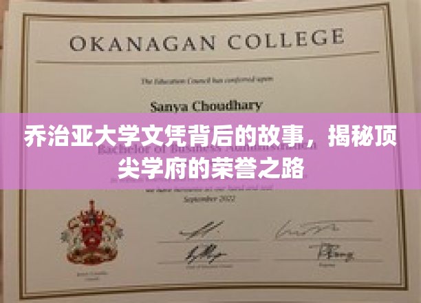 乔治亚荣耀，揭秘顶尖学府背后的卓越之路